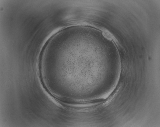 X0000051891142200506241342