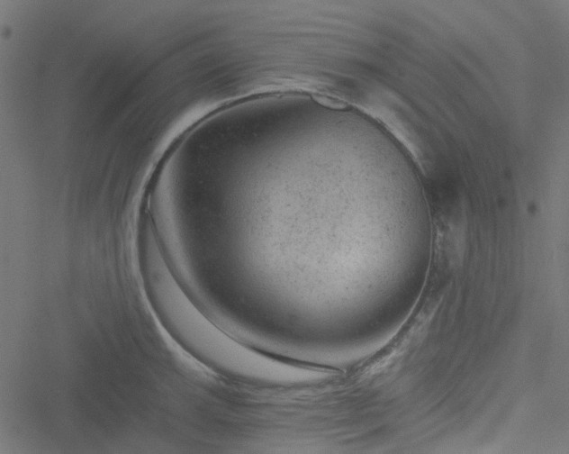 X0000051891143200506241342