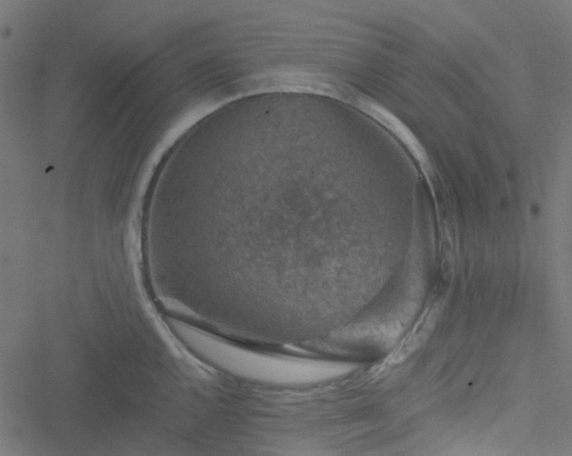 X0000051891144200506241342