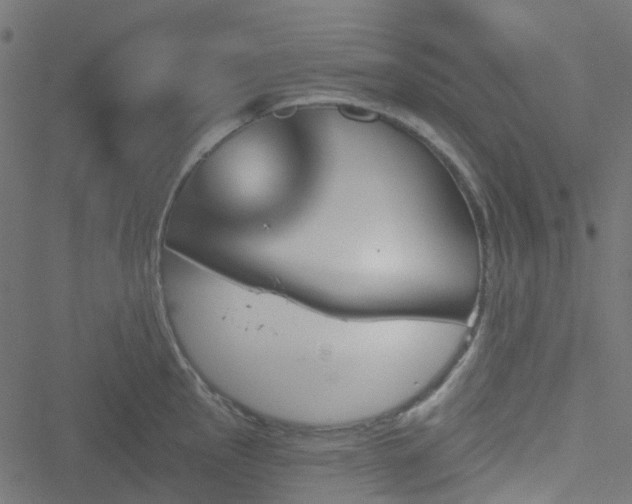 X0000051891145200506241342