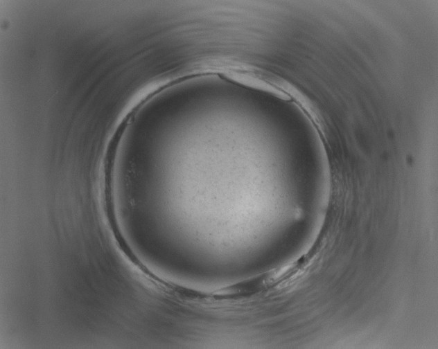 X0000051891147200506241342