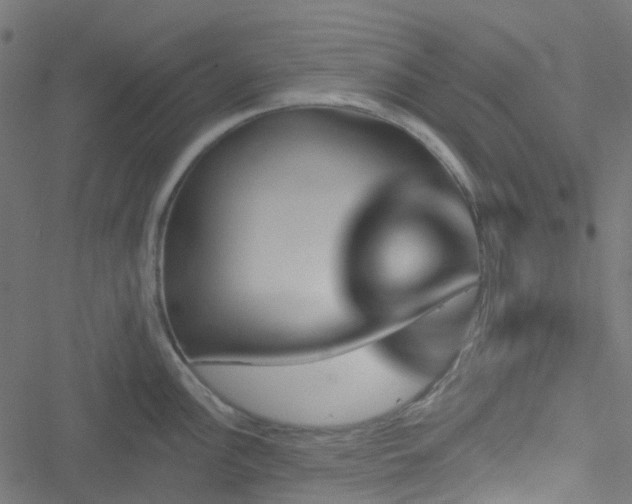 X0000051891148200506241343