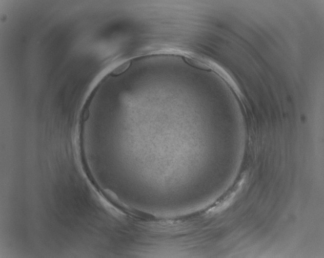 X0000051891149200506241343