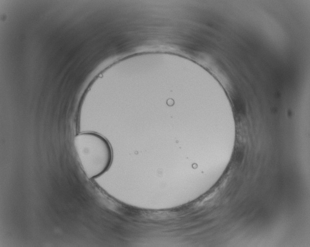 X0000051891150200506241343