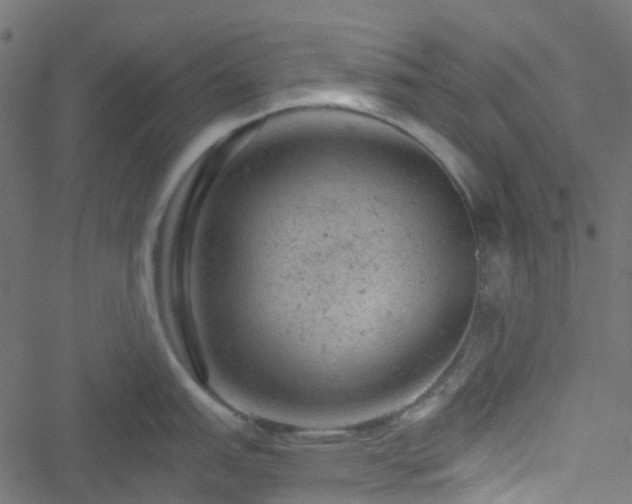 X0000051891151200506241343