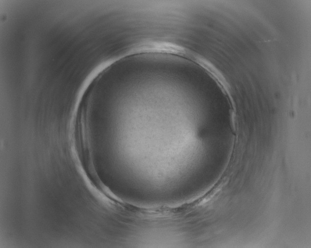 X0000051891152200506241343