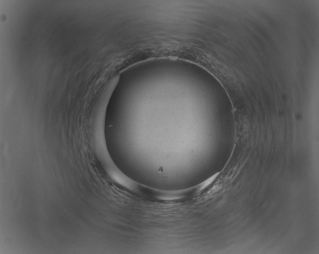 X0000051891153200506241342