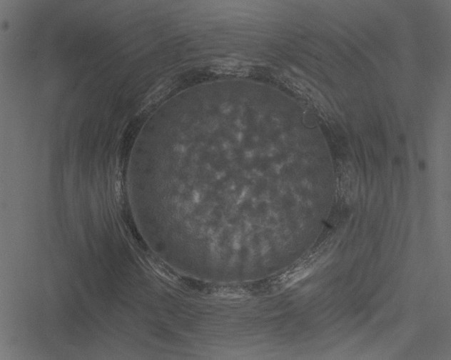 X0000051891154200506241342