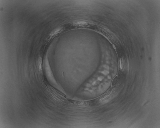 X0000051891155200506241342