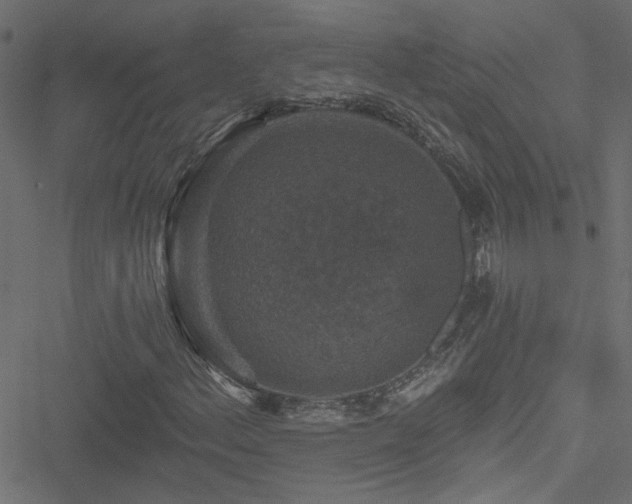 X0000051891156200506241342