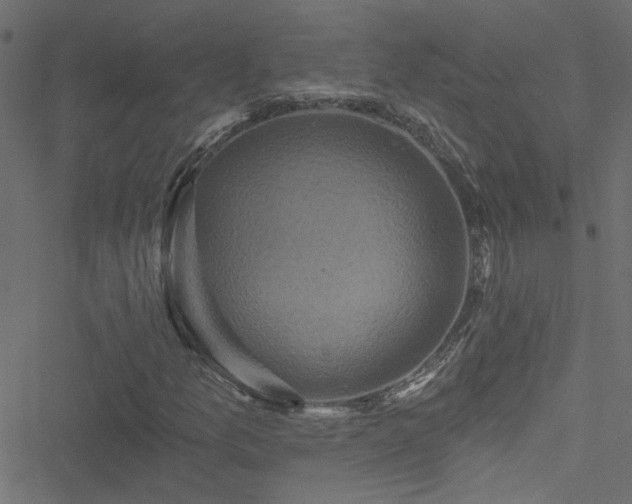 X0000051891157200506241342