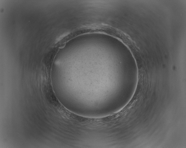 X0000051891158200506241342