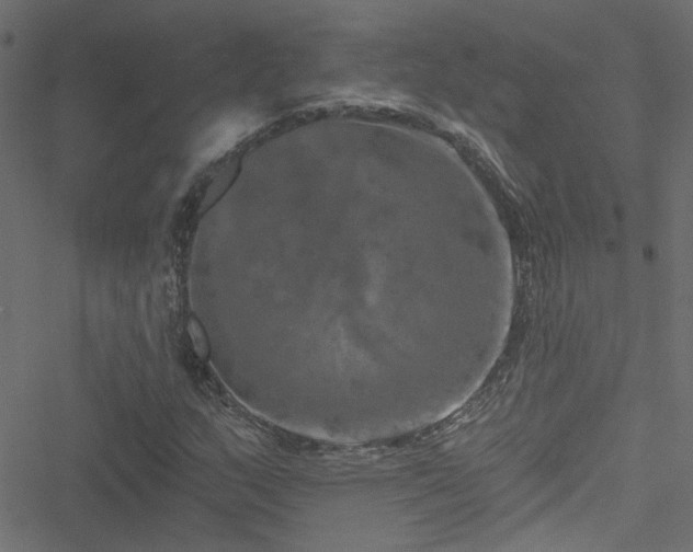 X0000051891159200506241342