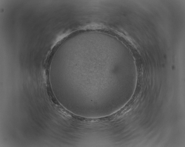 X0000051891160200506241342