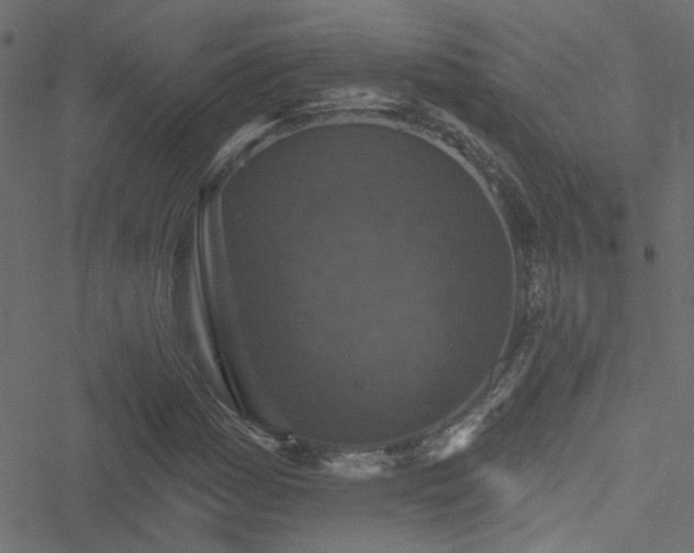 X0000051891161200506241342