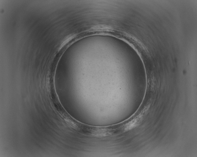 X0000051891162200506241342