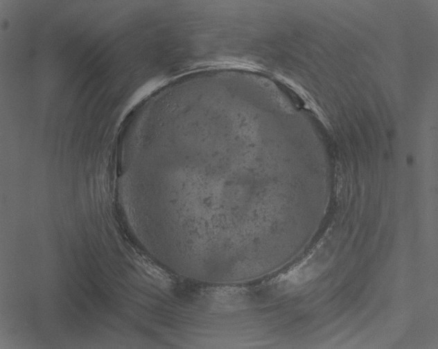 X0000051891163200506241342