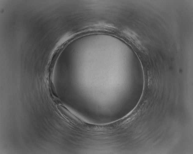 X0000051891164200506241342