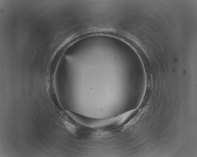 X0000051891165200506241342