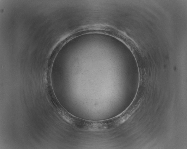 X0000051891166200506241342