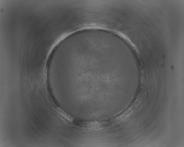 X0000051891167200506241342