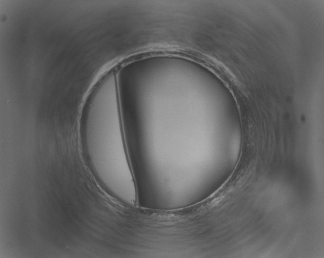 X0000051891168200506241342