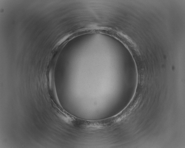 X0000051891169200506241342