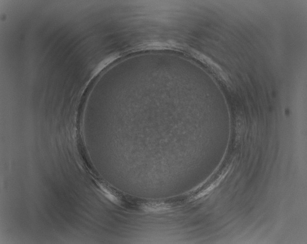 X0000051891170200506241342