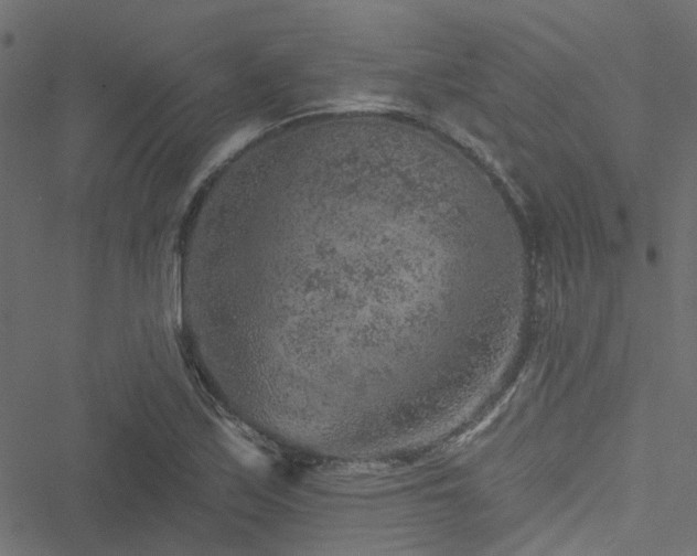 X0000051891171200506241342