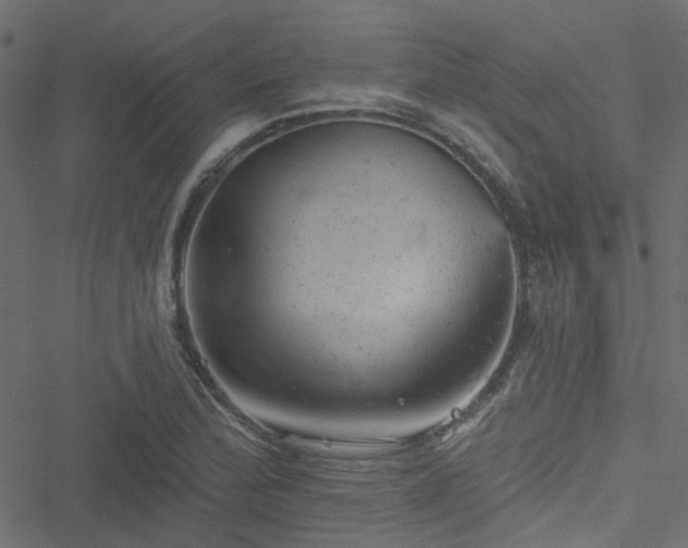 X0000051891172200506241341