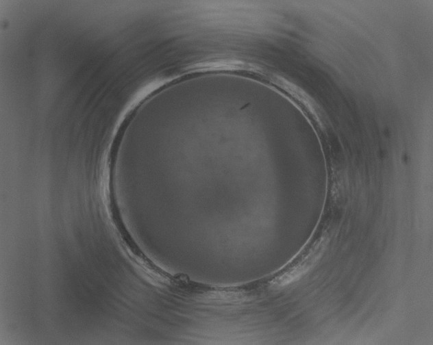 X0000051891179200506241341