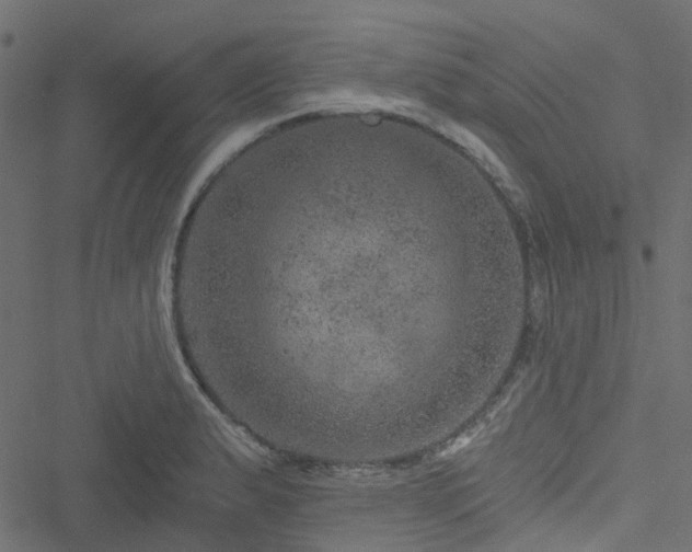 X0000051891183200506241341