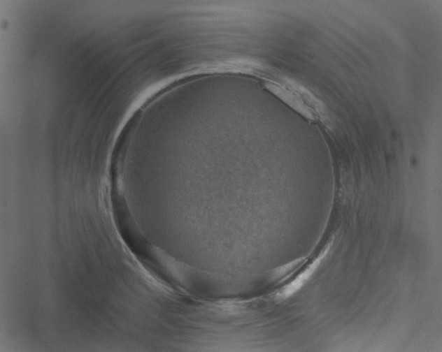 X0000051891184200506241341