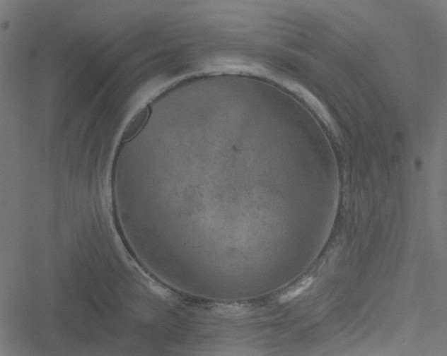 X0000051891191200506241341