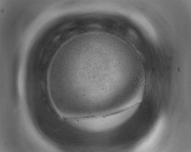 X0000051891199200506241341