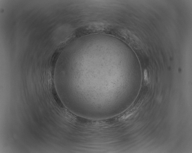 X0000051891203200506241340