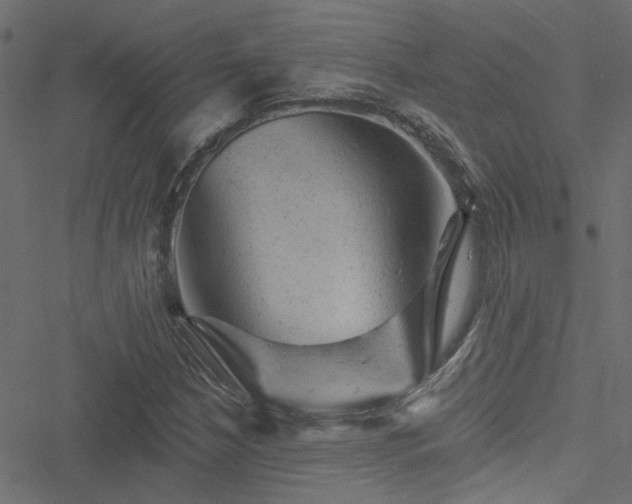 X0000051891210200506241340