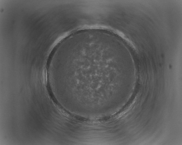 X0000051891221200506241341