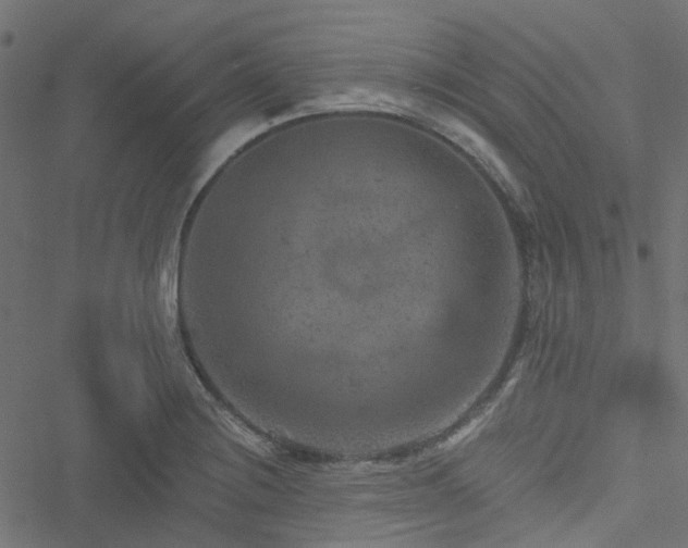 X0000051891228200506241341