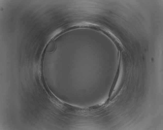 X0000051891229200506241341