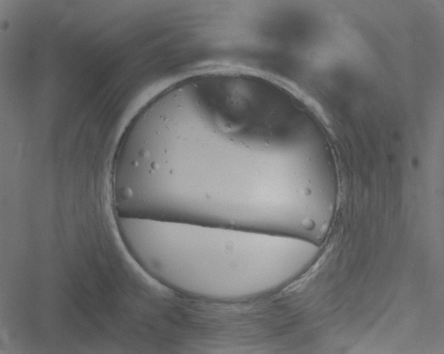 X0000051891239200506241341