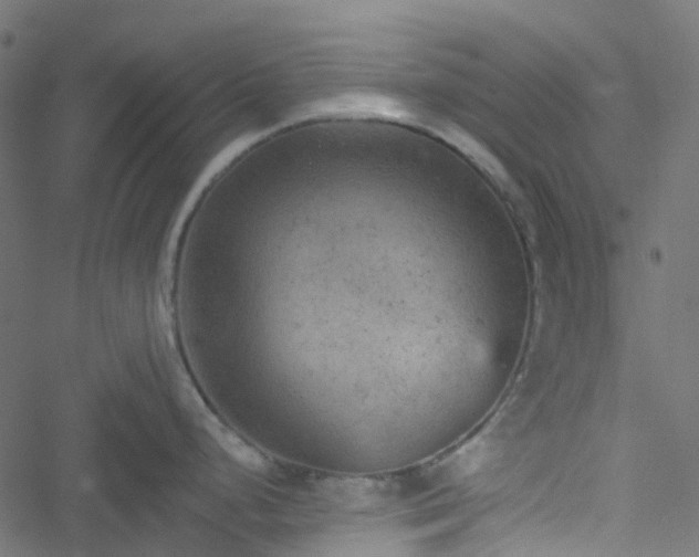 X0000051891248200506241341