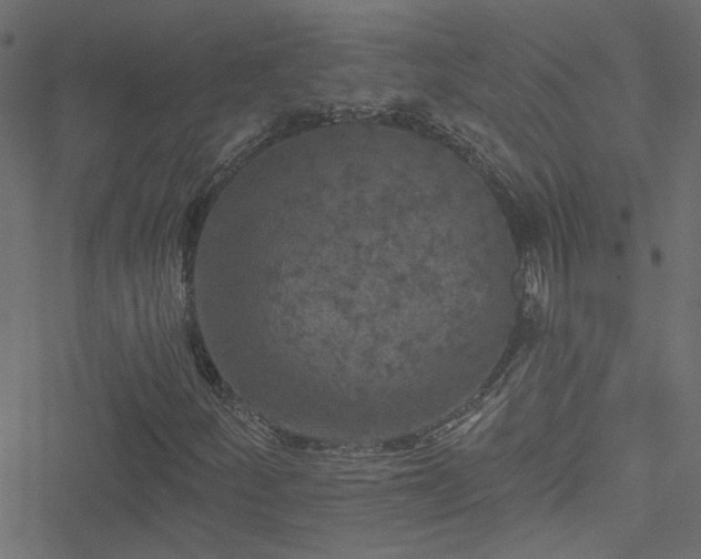 X0000051891252200506241340
