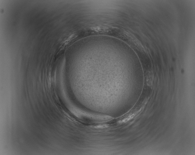 X0000051891298200506241339