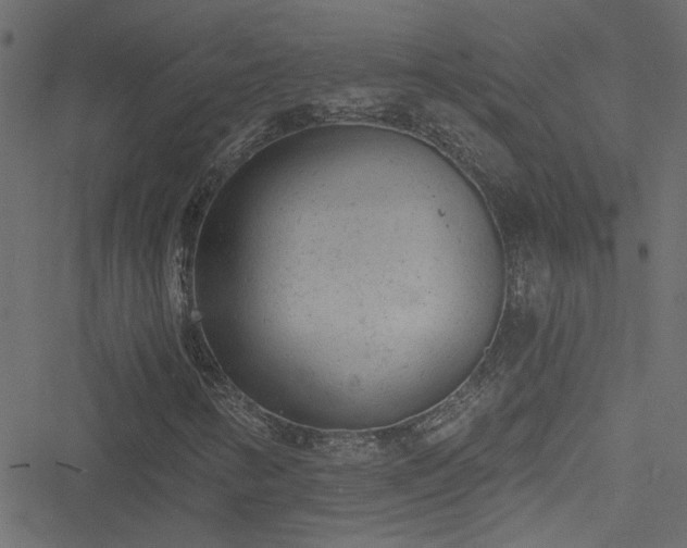 X0000051891346200506241339