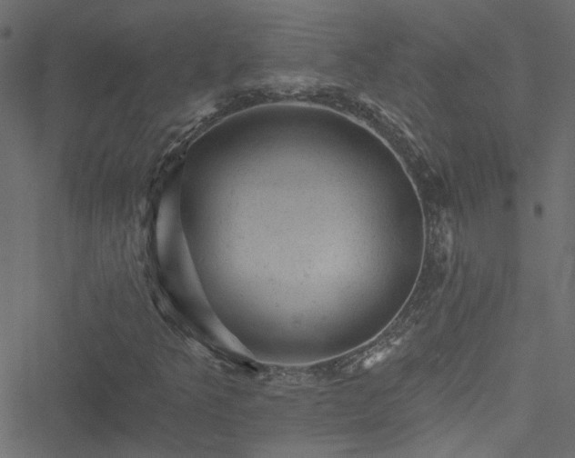 X0000051891349200506241339