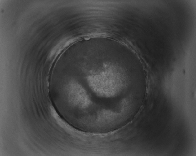 X0000051890002200507020107