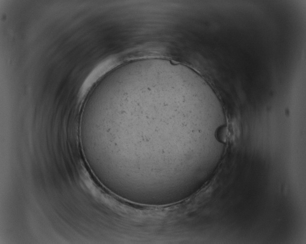 X0000051890004200507020107