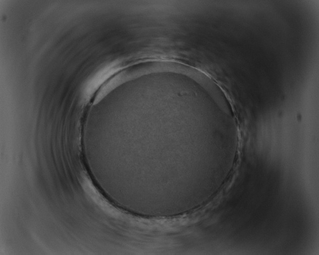 X0000051890005200507020107