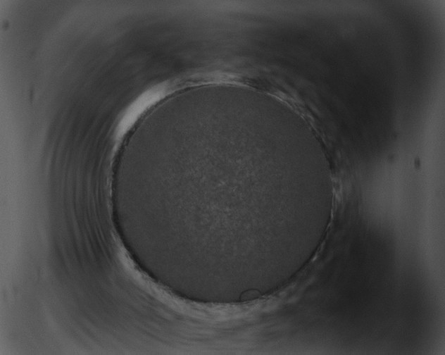 X0000051890006200507020107